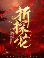 折探花人物设定